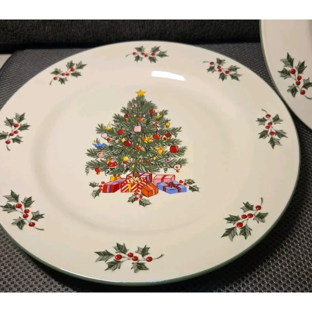 Set Of 2 10-inch dinner plate 
